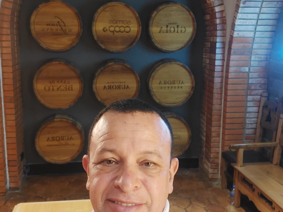 Aurora Winery-本图贡萨尔维斯必去景点