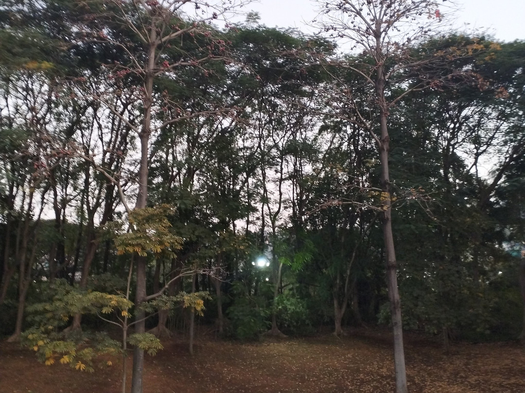 Pune-Okayama Friendship Garden-浦那必去景点