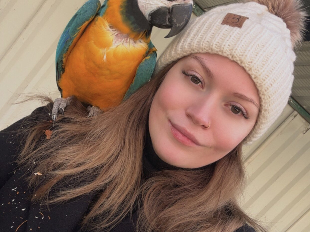 Dyrenes Verden Filskov Mini Zoo i Billund-格林斯泰兹必去景点