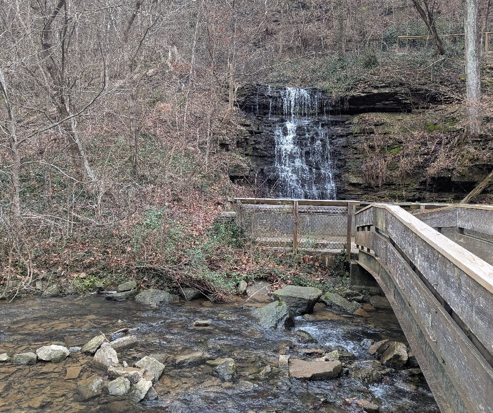 Cove Springs Park-法兰克福必去景点