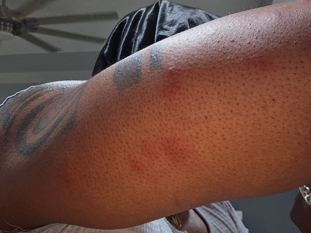 The Palms At Coco Beach主图