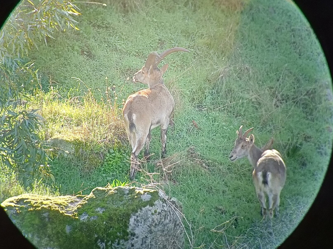 Lyncis Ecoturismo Y Medioambiente-Guarroman必去景点