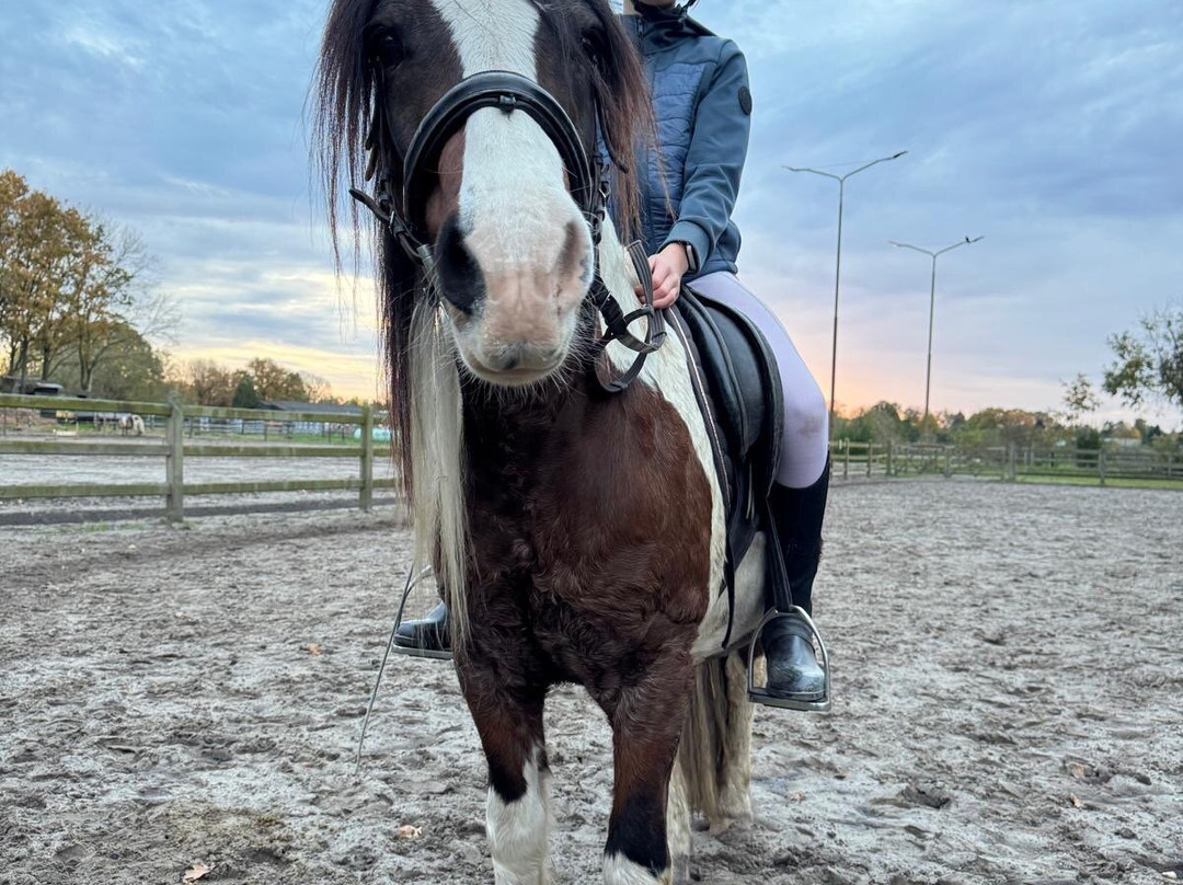 De Smulhoeve-卡特斯维尔必去景点