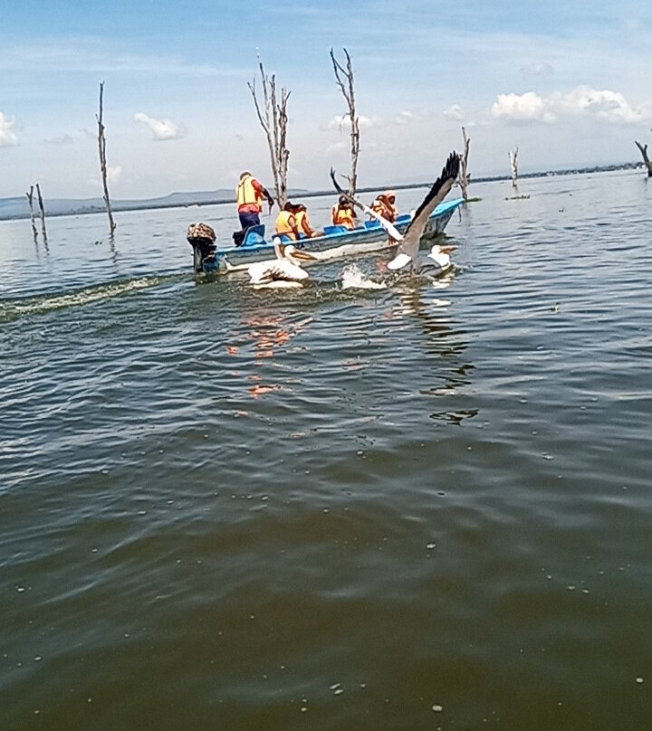 Eseriani The Hotel主图