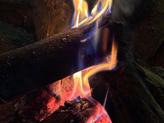 Bhimson’s Agro Park & Tourism-Gondia必去景点