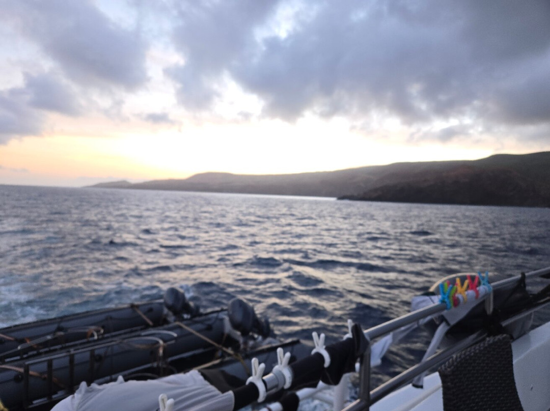 Archipielago Revillagigedo-卡波圣卢卡斯必去景点