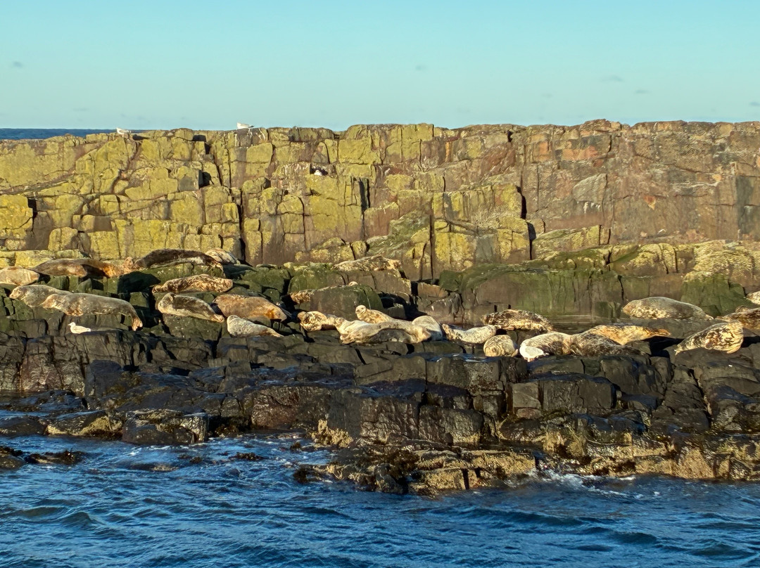 Billy Shiel's Boat Trips-Seahouses必去景点