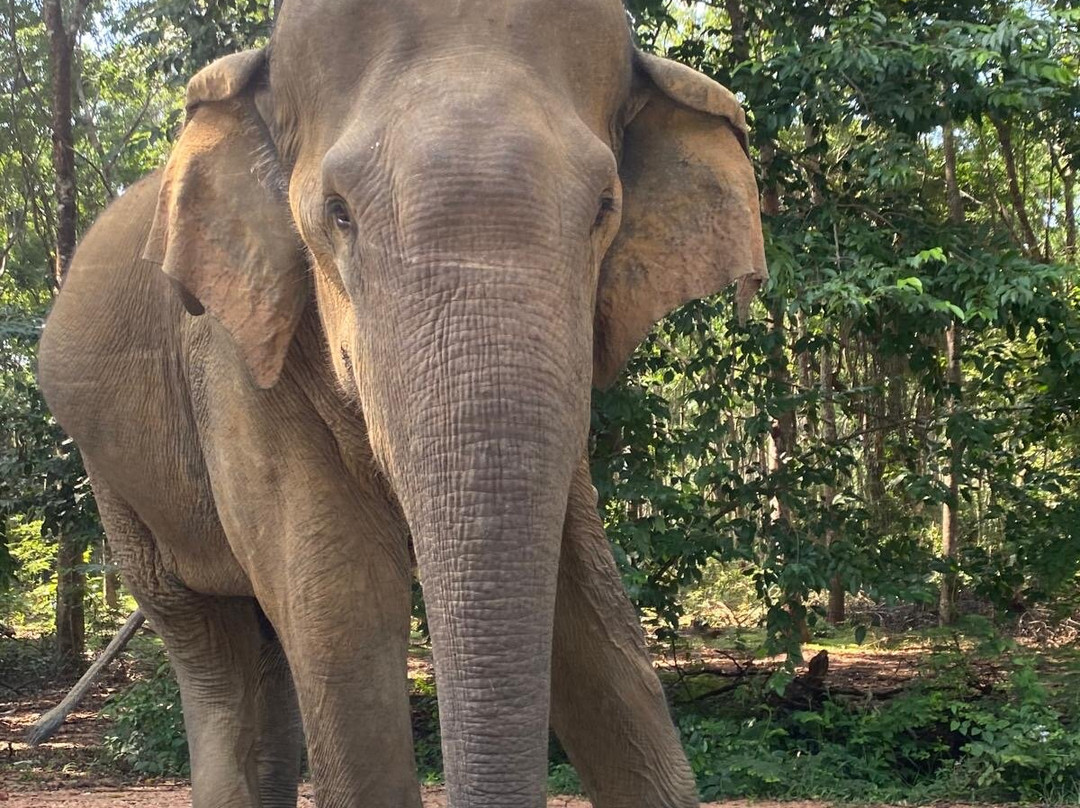 Relax Lanka Tours-尼甘布必去景点