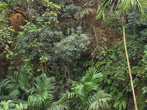 Yoga Chaitanya International Institute-Ranibagh必去景点