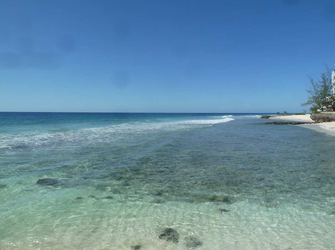 Richard Haynes Boardwalk-Hastings必去景点