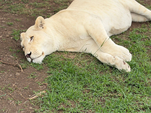 Season Master Adventures-阿鲁沙必去景点
