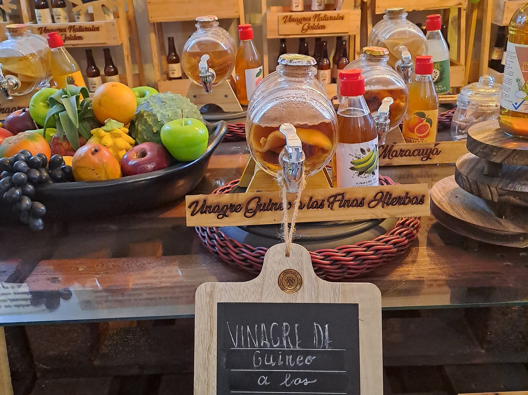 Museo Del Vinagre-卡利必去景点