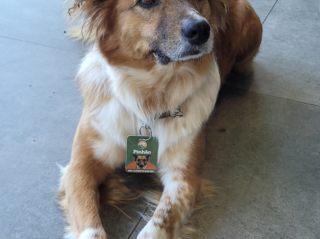 Parque Bondinhos Canela-卡内拉必去景点