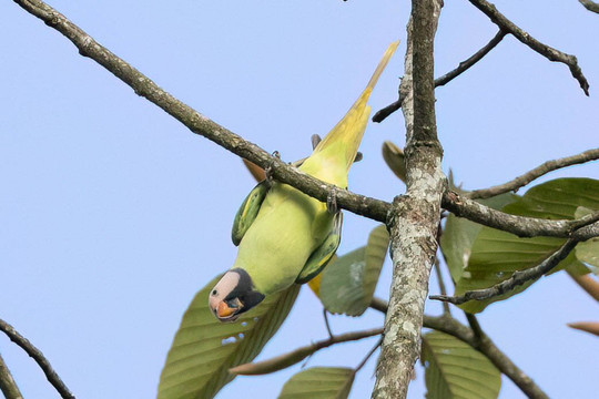 Vietnature Tour (cattien Wild Tour)-Tan Phu District必去景点