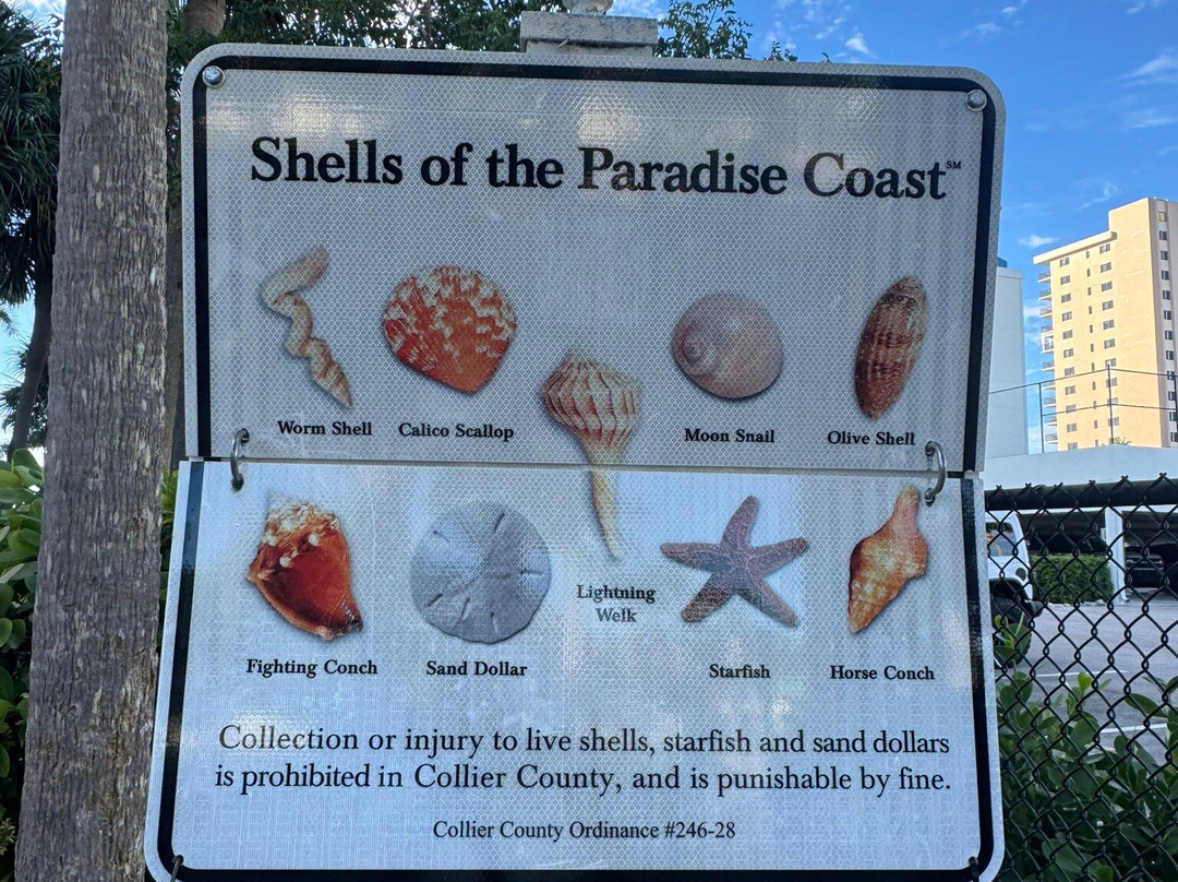 South Marco Beach-马可岛必去景点