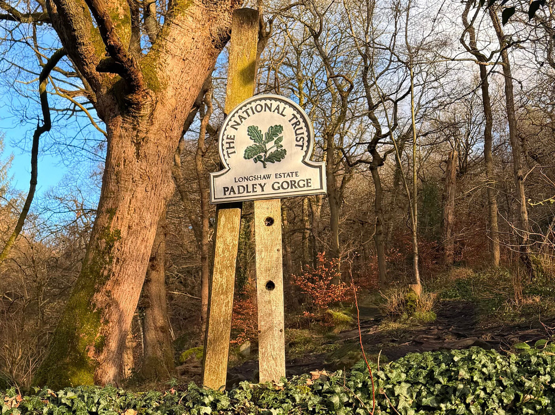 Padley Gorge-希望谷必去景点
