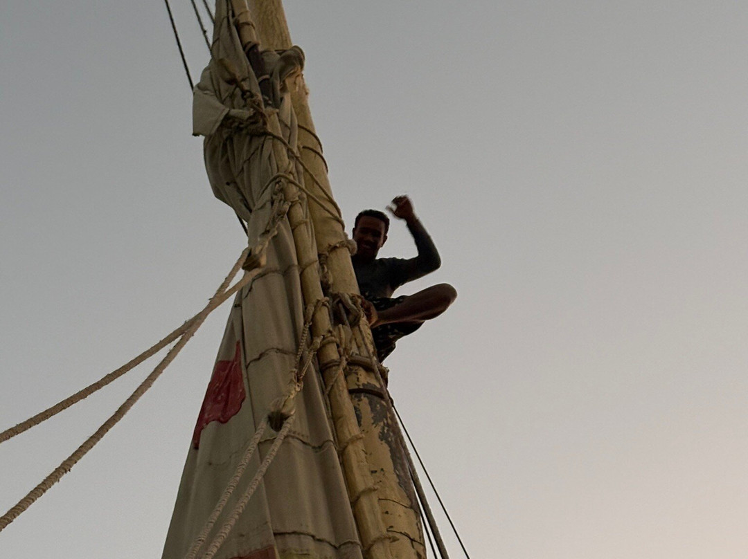 Hamdy Cook Felucca-亚斯文必去景点