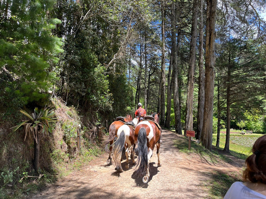 Parque Bambui-坎普斯－杜若尔当必去景点