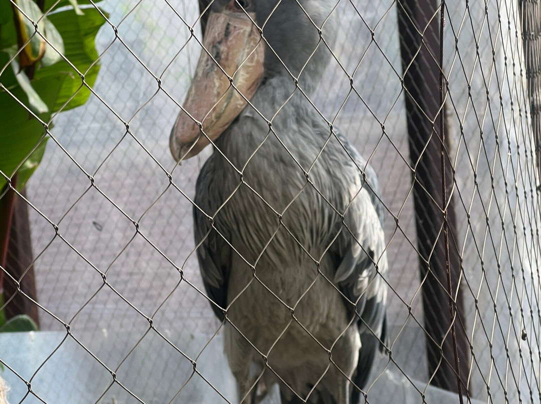 达拉斯世界水族馆-达拉斯必去景点