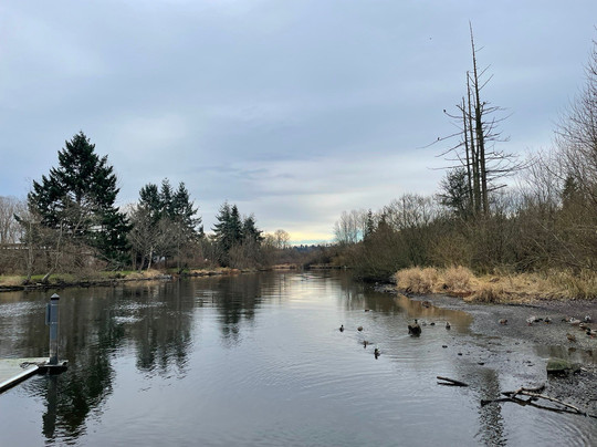 Rhododendron Park-Kenmore必去景点