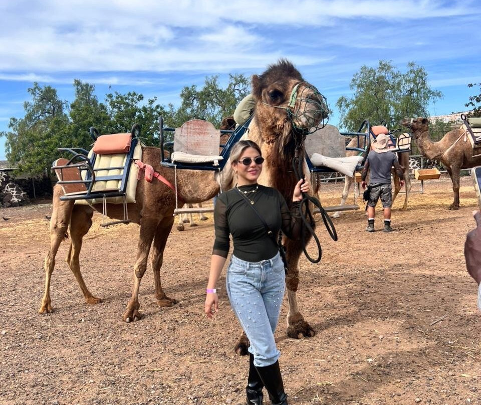 Camel Park-阿罗纳必去景点