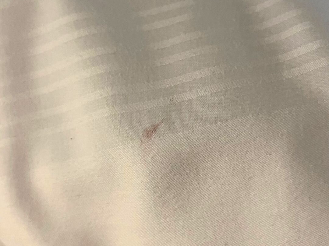 Aylesbury Vale酒店住宿-普瑞米尔艾尔斯伯里酒店