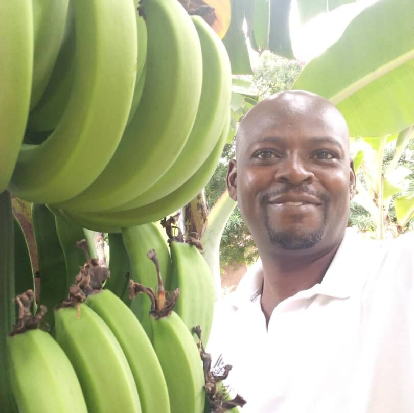 Kilimanjaro Friendship Trail-莫西必去景点