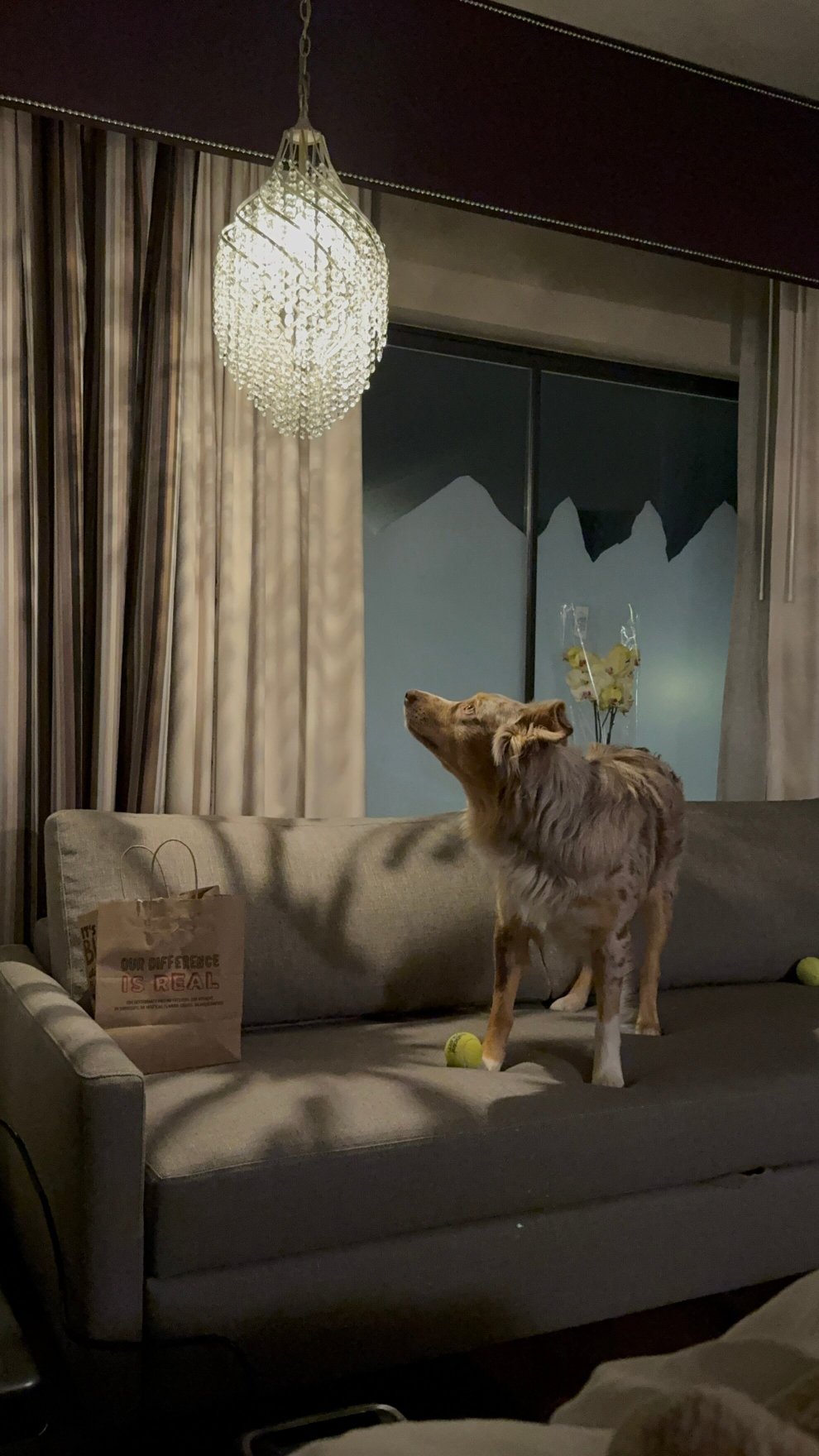 The Parker Hotel-官方