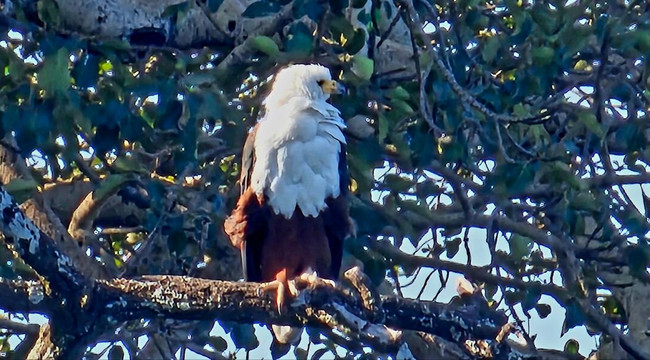 Aman Ethiopia Tours-亚的斯亚贝巴必去景点
