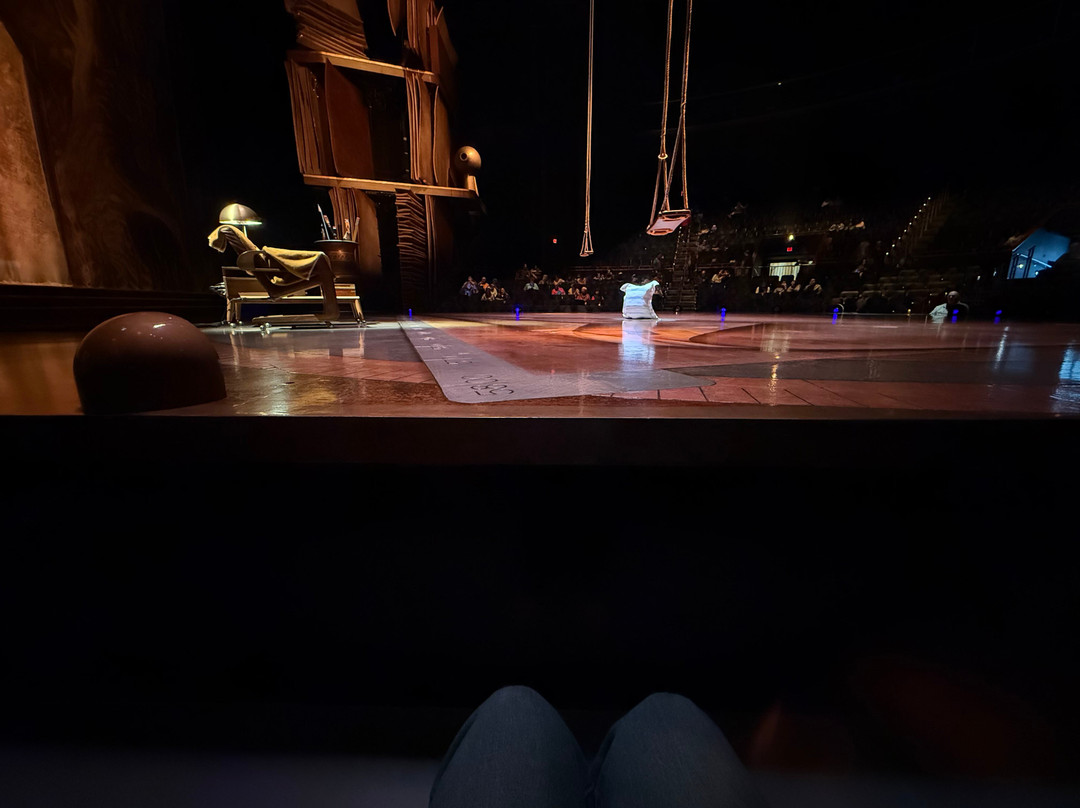 Drawn to Life by Cirque du Soleil-奥兰多必去景点