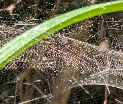 Tropic Tours-凯恩斯必去景点