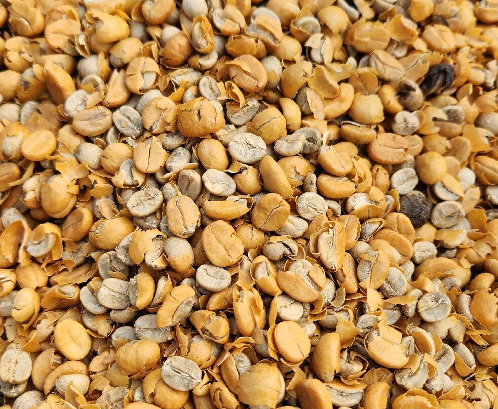 Café Monteverde Coffee Tour-圣埃伦娜必去景点