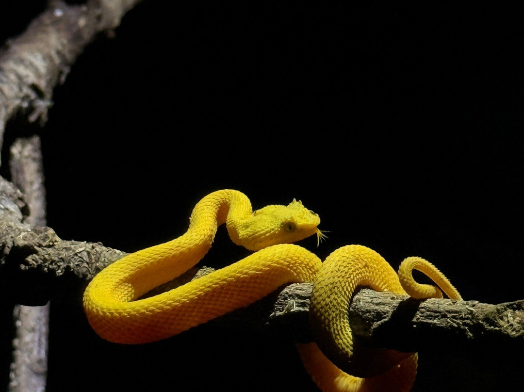 Tarantulas Way-卡维塔必去景点