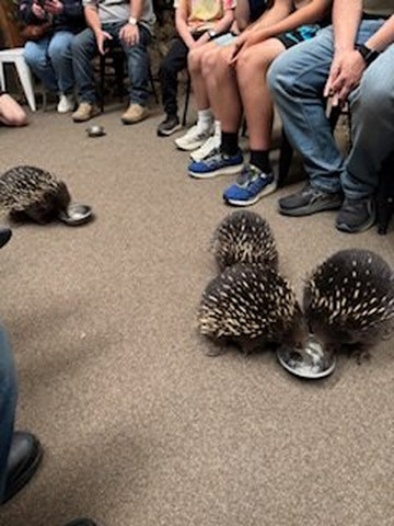 Platypus House-Beauty Point必去景点