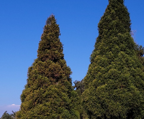Mulkharka Lake-Aritar必去景点