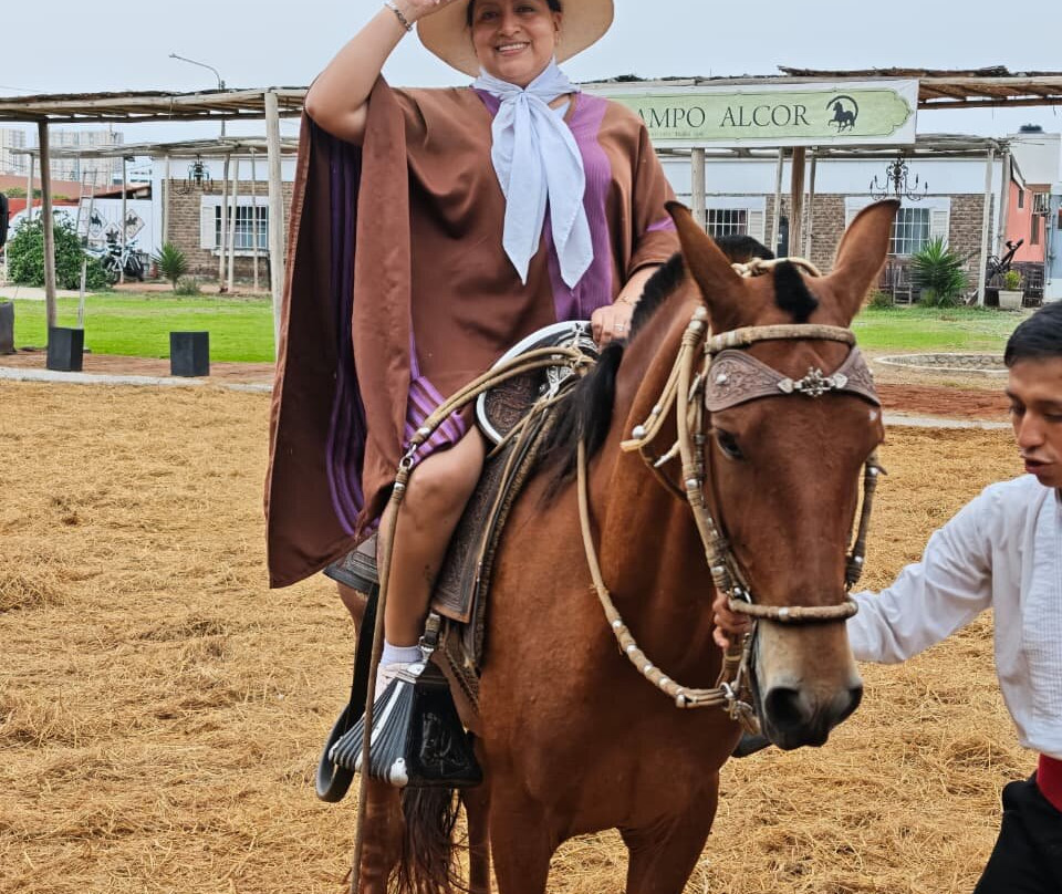 Caballos Peruanos De Paso-特鲁希略必去景点