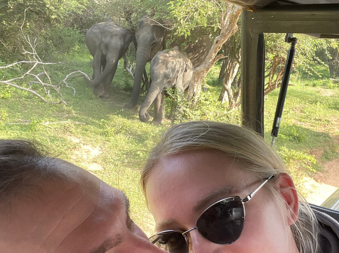 Yala Safari by WildQuest Tours-蒂瑟默哈拉默必去景点