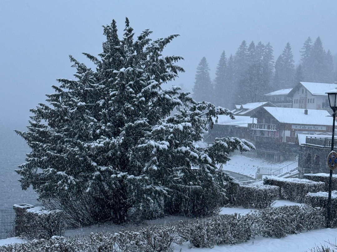 Brackenhofer Aparthotel am Walchensee主图