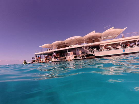 格列夫人岛-马斯格雷夫夫人岛必去景点