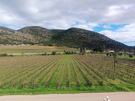 Ktíma Repáni, Domaine Repanis-Nemea必去景点