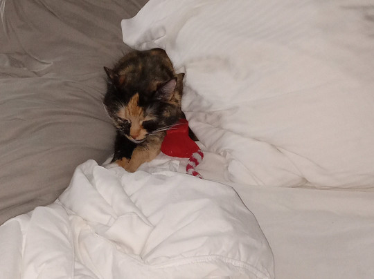 La Quinta Inn by Wyndham Fayetteville I-95主图