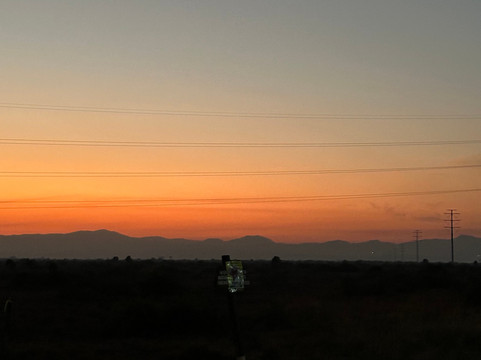 Safari Vacations & Travel Services-恩德培必去景点