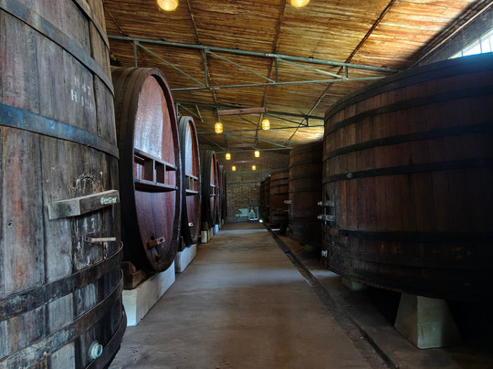 Bodega Terra Lombarda-圣拉斐尔必去景点