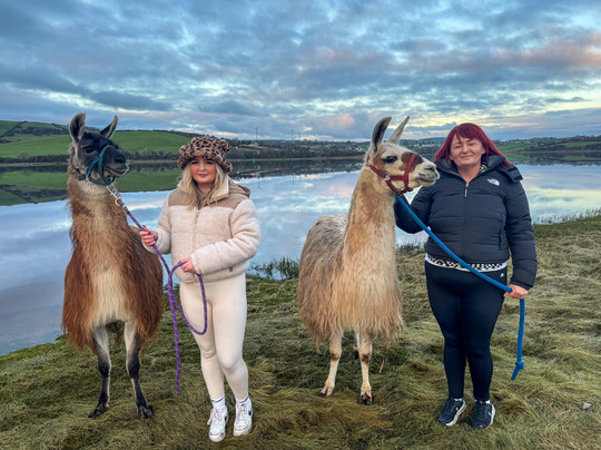 Campview Farm-Ballyshannon必去景点