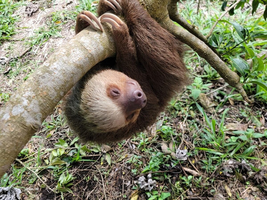 Guanacaste Nature Tours-利比里亚必去景点