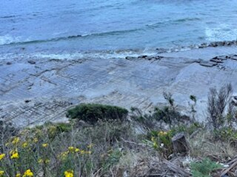 Tessellated Pavement-伊格尔霍克内克必去景点