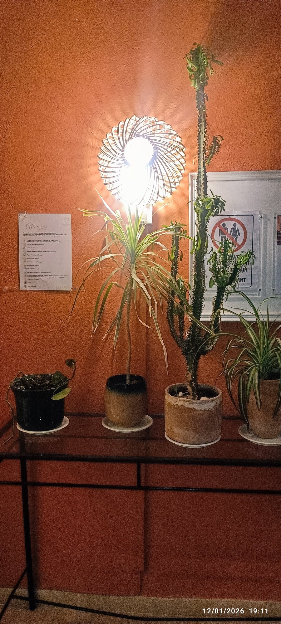 Eden Yasmine Resort & Spa-浴室