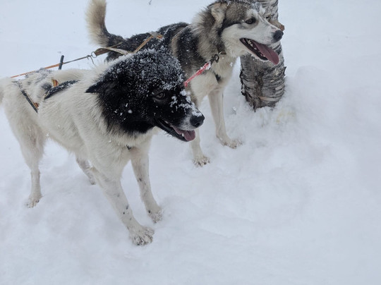 Activenorth-Skibotn必去景点