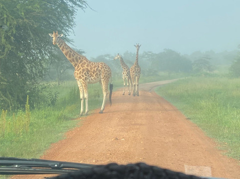 FK Car Rental Uganda-坎帕拉必去景点