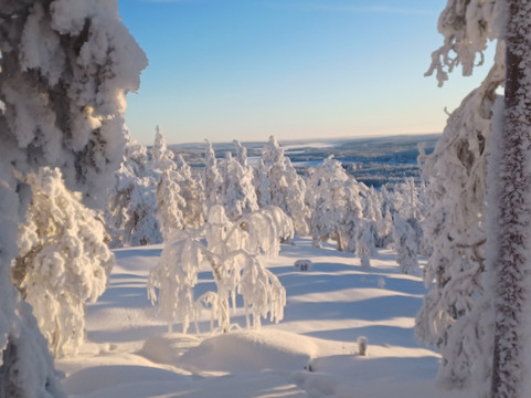 拉普兰熊之家酒店主图